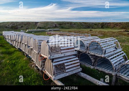 Lobster traps hauled out for the season, Mainland, Newfoundland and Labrador NL, Canada Stock Photo