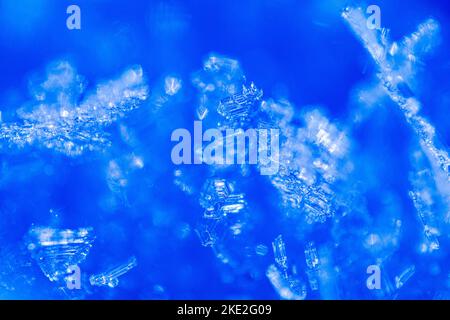 Close up of snow crystals illuminated by blue sunlight. Winter background. Macro of real snowflake: large stellar dendrites with hexagonal symmetry, l Stock Photo