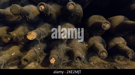 Old wine bottles covered in cobwebs in wine cellar Stock Photo