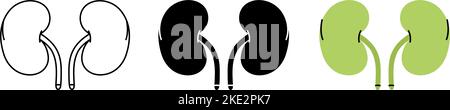 Set of human kidneys symbols. Human kidneys icons in color, black and thin line style. Vector illustration. Human organ icons Stock Vector