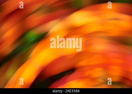 Abstract blurred background, dynamic colourful lights in motion, flowing design in warm vibrant colors. Stock Photo