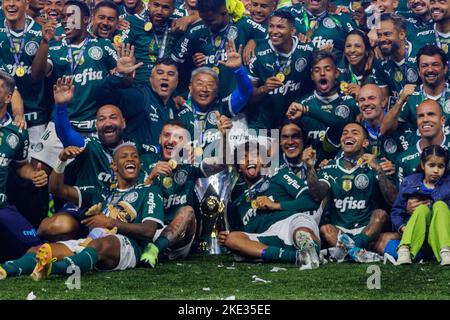 Brazilian championship football football brazil brasil sports palmeiras  america mg hi-res stock photography and images - Alamy