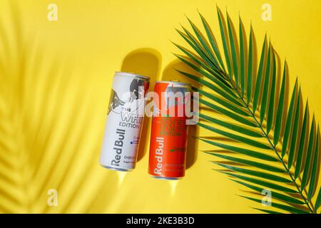 Tyumen, Russia-September 27, 2022: Red bull red edition and white. Red Bull is the most popular energy drink in the world. Flat lay Stock Photo