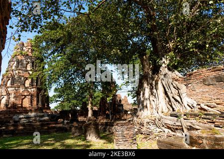 Tailandia 10-11-2022 Los templos mas visitados de Tailandia Stock Photo