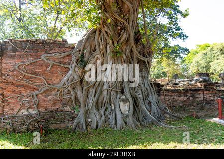 Tailandia 10-11-2022 Los templos mas visitados de Tailandia Stock Photo