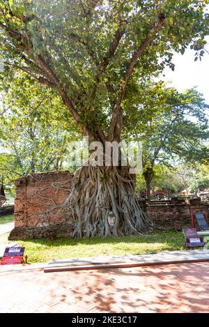 Tailandia 10-11-2022 Los templos mas visitados de Tailandia Stock Photo