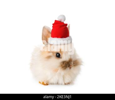 Cute bunny in Santa hat isolated on white Stock Photo