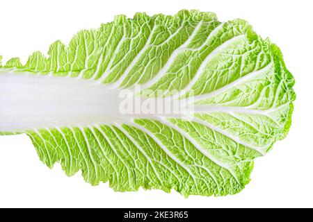 Napa cabbage leaf or chinese cabbage leaf isolated on white background Stock Photo