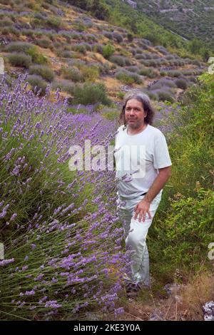 Wild Lavender on Hvar island, European man dressed in white by lavender bush in full bloom. Stock Photo