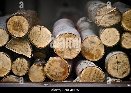 Stacked chopped firewood for the winter. Energy crisis concept. Stock Photo