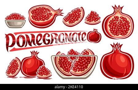 Vector Pomegranate Set, horizontal poster with lot collection of cut out illustrations fruity pomegranate still life in glass plate, group of many var Stock Vector