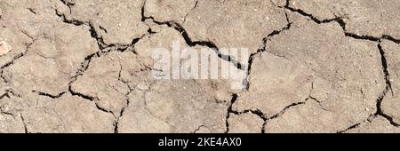 Dry cracked soil. Cracked and torn brown earth Stock Photo