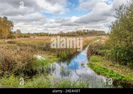 Marshland at Sculthorpe Moor Nature Reserve. Seen from The Whitley Hide also known as the  Fen Hide. Stock Photo