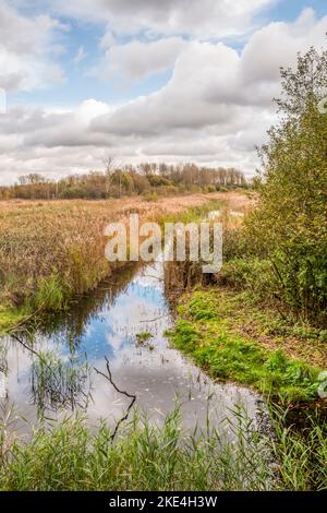 Marshland at Sculthorpe Moor Nature Reserve. Seen from The Whitley Hide also known as the  Fen Hide. Stock Photo