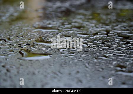 raindrops on the car window. drops texture Stock Photo