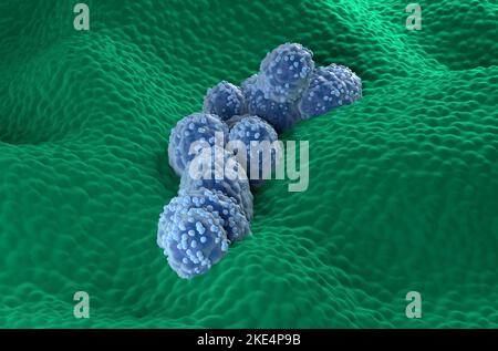 Prostate cancer cells in the prostatic glandular epithelium - front view 3d illustration Stock Photo