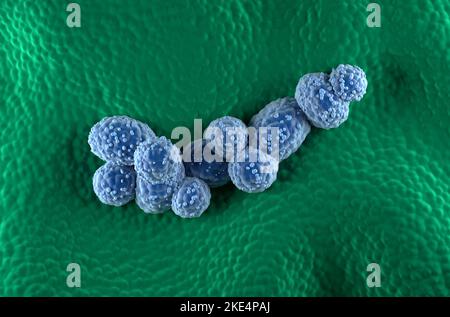 Prostate cancer cells in the prostatic glandular epithelium - top view 3d illustration Stock Photo