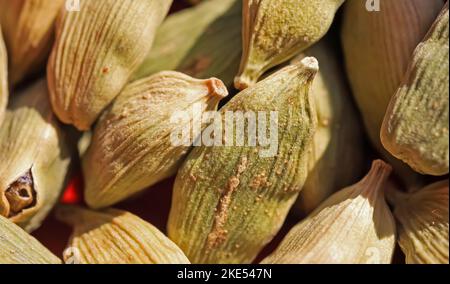 Macro closeup of isolated pile raw whole dried processed green cardamom seed pods Stock Photo
