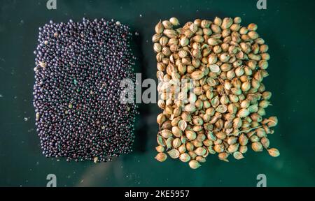 Seeds of Stem Amaranth( Data Denga Dughi Callaloo Spinach) and Sack Whole Coriander Seeds Stock Photo