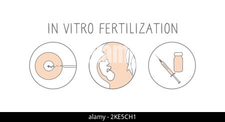 In vitro fertilization icon set. Linear simple illustration pregnancy and fertility. IVF fertilization signs. Vector Stock Vector