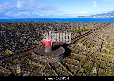 Aerial view of Moinho Do Frade mill in the middle of vineyards south of Madalena town, Pico island, Azores, Portugal Stock Photo