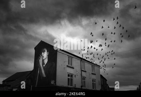 Mill Street, Macclesfield, Cheshire, England, UK,SK11 6NN, Ian Kevin Curtis, singer of Joy Division mural by Akse plus murmuration of birds Stock Photo