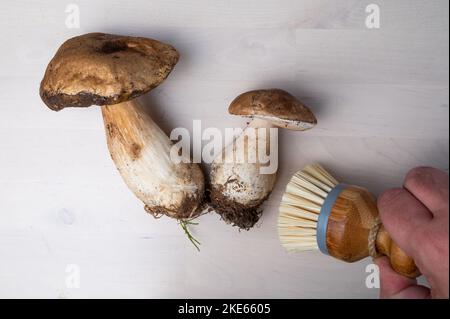 https://l450v.alamy.com/450v/2ke6605/boletus-edulis-mushrooms-on-wood-background-with-cleaning-brush-organic-forest-food-edible-fresh-picked-fungi-porcini-mushroom-autumn-harvest-food-2ke6605.jpg