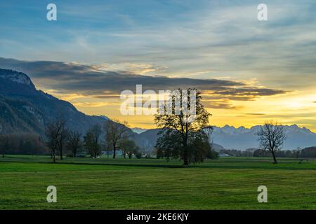 Sonnenuntergang im Rheintal, mit Wiesen und Felder, Bäumen und Schweizer Bergen im Hintergrund. Föhn mit Wolken und blau, gelb, orange, roter Himmel Stock Photo