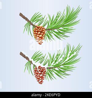 Set of Christmas and New Year decoration with  pine cones golden and snow pine cones vector Stock Vector