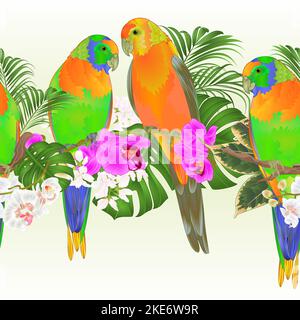 Tropical border seamless background Sun Conure Parrots tropical birds standing  on a branch white and purple  orchid  Phalaenopsis vintage vector Illu Stock Vector