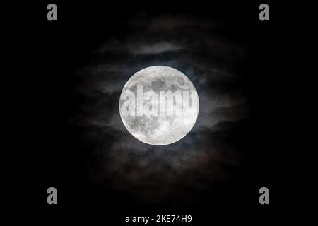 Magical full moon. Beaver Moon. Moon circle on cloudy sky. Stock Photo