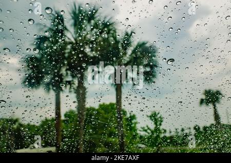Palm trees are seen outside a window covered in raindrops, April 18, 2015, in St. Augustine, Florida. Stock Photo