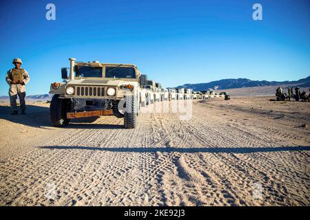 California, USA. 19th Oct, 2022. U.S. Marines with Operations Licensing and 1st Transportation Support Battalion, 1st Combat Logistics Regiment, 1st Marine Logistics Group (MLG), and Dutch Royal Marines with 2nd Marine Combat Group prepare to drive during a tactical vehicle familiarization course at Marine Corps Air Ground Combat Center, Twentynine Palms, California, October. 19, 2022. 1st MLG accepted the Dutch Royal Marines request to train with U.S. Marines tactical vehicles to familiarize themselves with Marine Corps vehicles so they can be equipped to utilize U.S. equipment should the Stock Photo