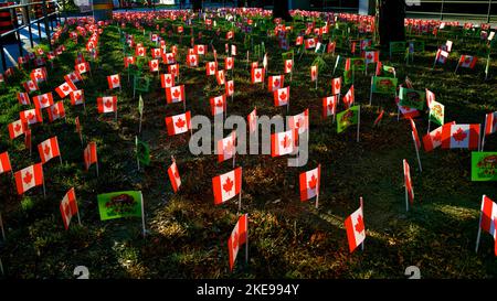 Sunset with a sea of flags to pay tribute to the Veterans Stock Photo