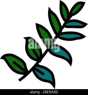 zamioculcas tropical leaf icon color illustration Stock Vector Image ...