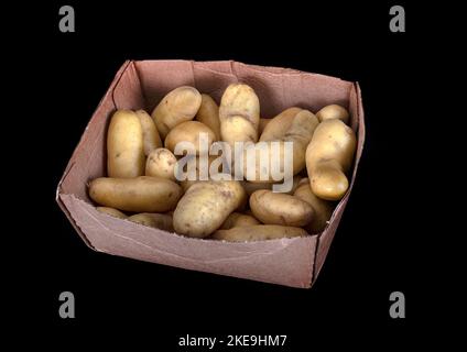 Ratte potato in front of black background Stock Photo