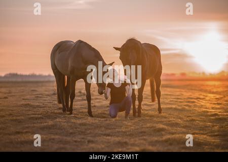 Oldenburg Horse with a woman Stock Photo