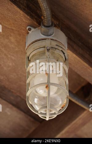 Outdoor Caged Lightbulb at Campground Stock Photo