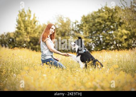 woman and Border Collie Stock Photo