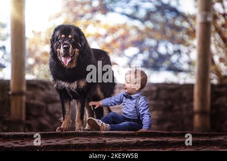 Do Khyi with boy Stock Photo - Alamy