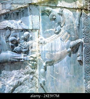 Bas relief of lion attacking bull in Persepolis, Iran Stock Photo