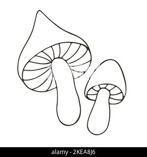Russula. Small set of hand drawn style vector illustrations. Coloring Collection of icons, pins, stickers Stock Vector