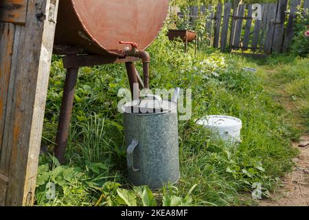 Rain barrel and watering can in vegetable garden. Watering the garden during a drought. Stock Photo