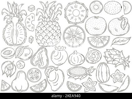 Big set of vector illustrations in hand drawn style. Children's drawings, poster with tropical fruits. Collection of icons, badges, pins, stickers. Ex Stock Vector