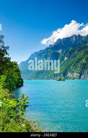 Sonnige  Aussicht über den Walensee  mit der kleinen Schnittlauchinsel im  türkisfarbenen Wasser und Bergmassiv Schären und Leistchamm im Hintergrund, Stock Photo