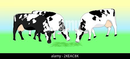 Two cash cows graze in a field, eating grass. Milkmaid in the meadow. Animals that feed on organic meadows. isolated flat  illustration of a dairy far Stock Photo