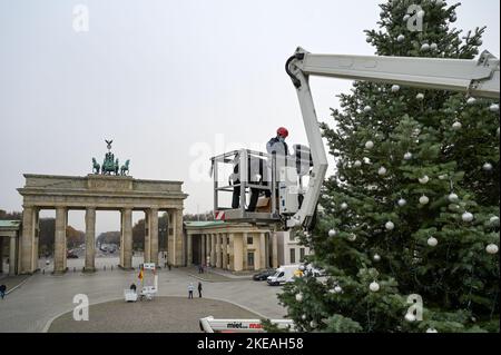 Weihnachtsbaum auf dem Pariser Platz in Berlin vor dem Brandenburger Tor Stock Photo