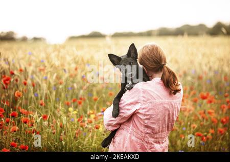 woman and young Border Collie Stock Photo