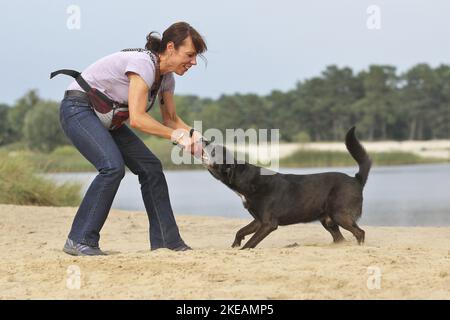 woman with Labrador-Retriever-German-Shepherd-Mongrel Stock Photo