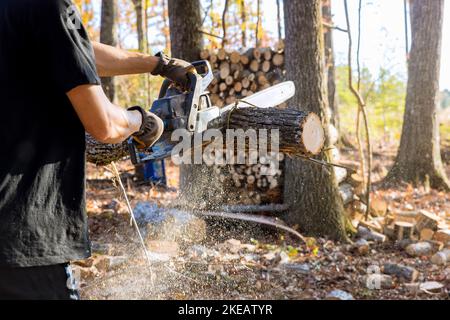 When a violent storm occurs, a chainsaw cuts into the trunk of an uprooted broken tree that was torn by the wind Stock Photo